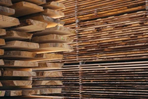 membedakan kayu solid asli dan palsu